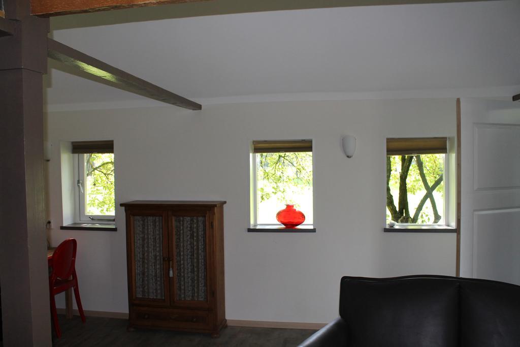 Apartment 'T Zwaluwnest Luttenberg Habitación foto